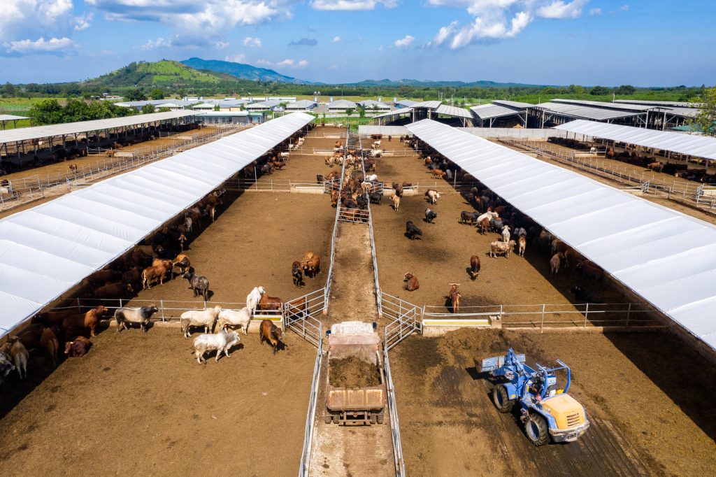 Nông nghiệp-Công nghệ cao