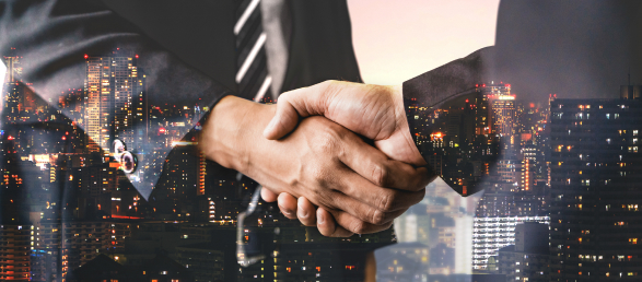 Lĩnh vực hoạt động